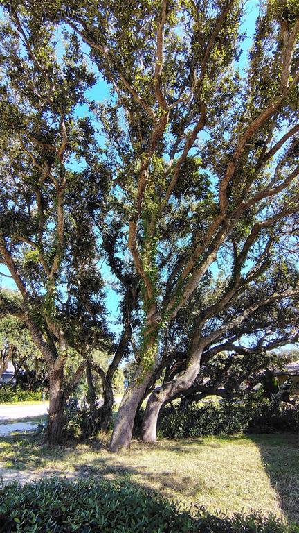 4790 Michael Lane Ponce Inlet, FL 32127 - Photo 23 of 35