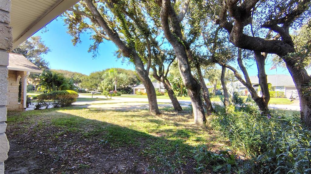 4790 Michael Lane Ponce Inlet, FL 32127 - Photo 24 of 35 a view of a yard with a tree