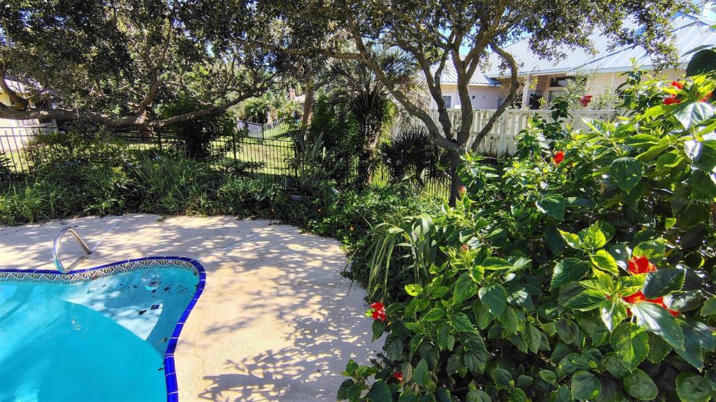 4790 Michael Lane Ponce Inlet, FL 32127 - Photo 26 of 35 a view of yard