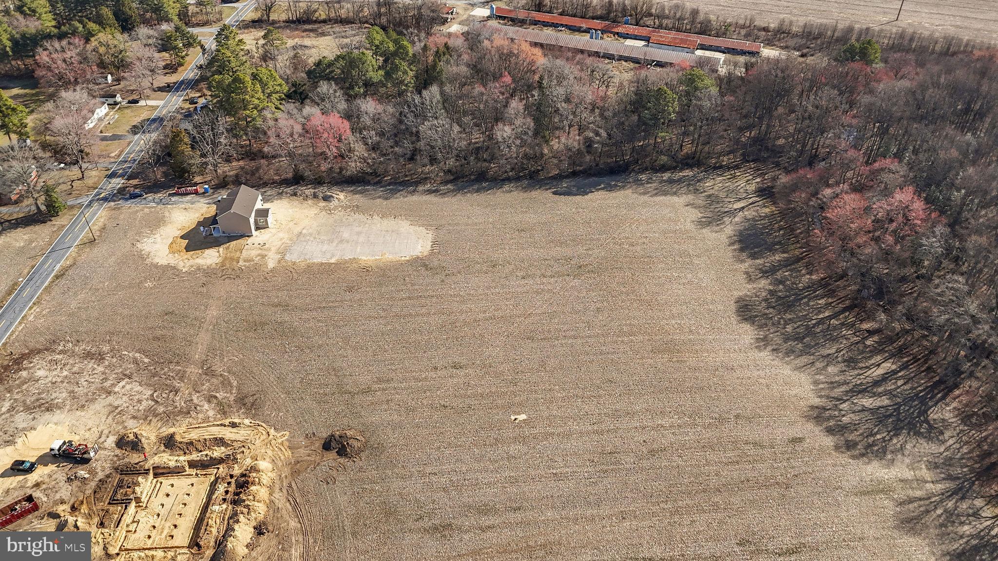 661 West Evens Road Viola, DE 19979 - Photo 7 of 14 a view of a yard