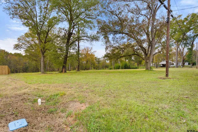 $60,000 | 0 Kickapoo Street, Frankston, TX 75763