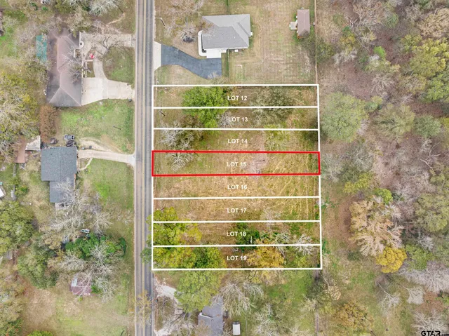 $60,000 | 0 Kickapoo Street, Frankston, TX 75763