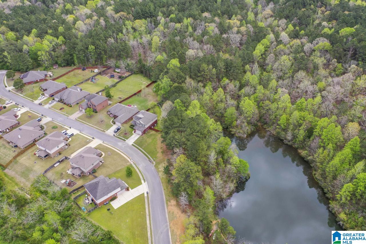 516 River Crest Way Helena, AL 35080 - Photo 48 of 50