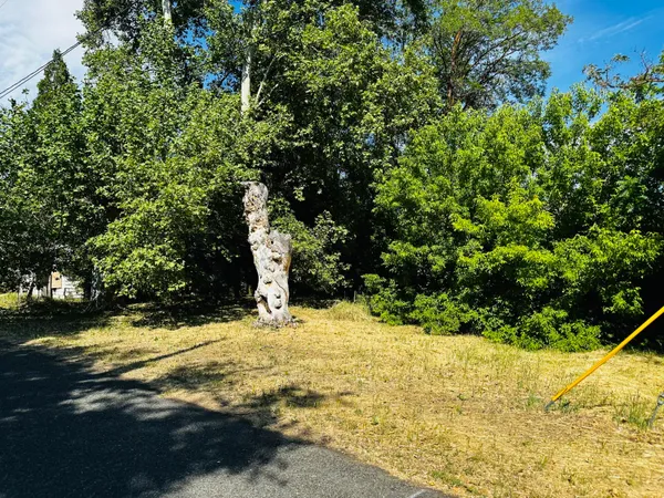 a view of yard with tree in back