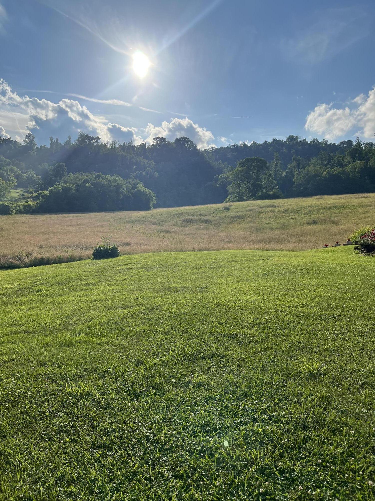 213 Cook Hollow Road Bristol, TN 37620 - Photo 3 of 26 ch left back corner yard