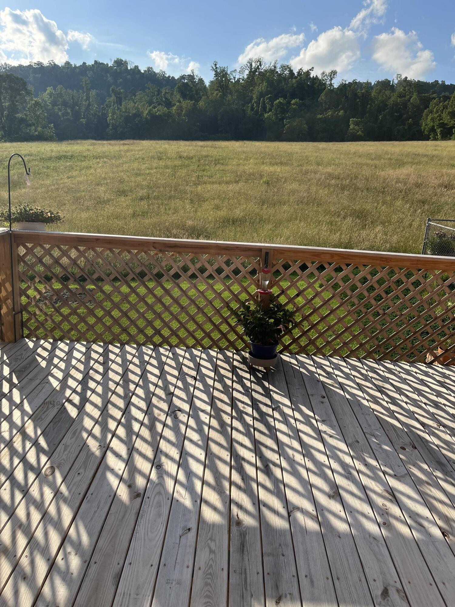 213 Cook Hollow Road Bristol, TN 37620 - Photo 8 of 26 ch back deck view