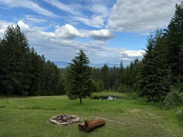 8766 West Barrett Drive Rathdrum, ID 83858 - Photo 10 of 44