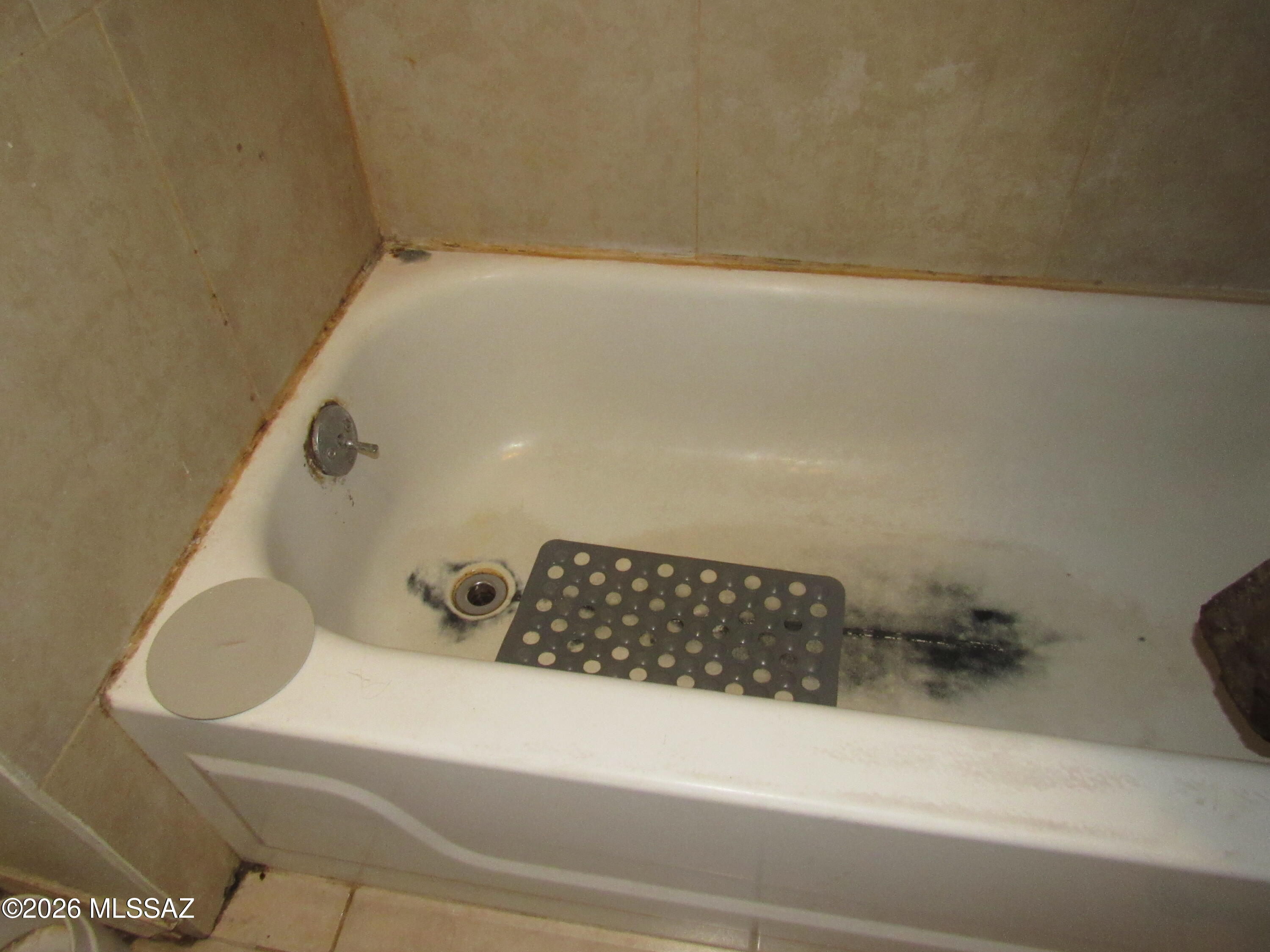 266 West Elm Street Nogales, AZ 85621 - Photo 13 of 25 Bathtub