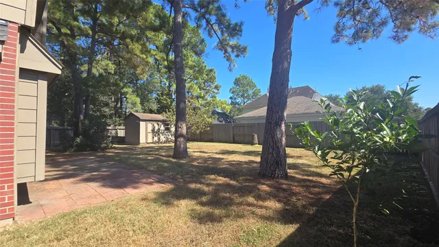 a view of a yard with plants tree