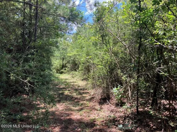 $45,500 | Ms-48, Sandy Hook, MS 39478