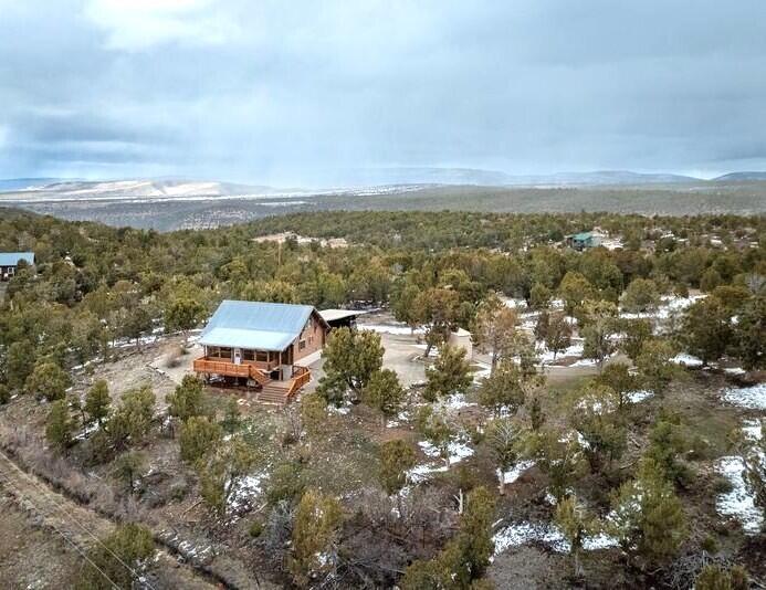 1391 North County Road Norwood, CO 81423 - Photo 20 of 34 Westcott home