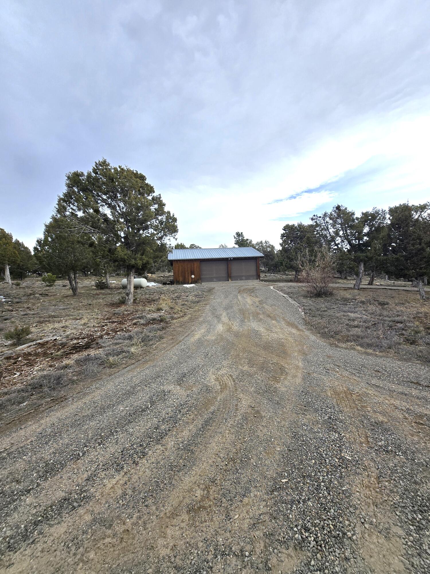 1391 North County Road Norwood, CO 81423 - Photo 24 of 34 a view of a dry yard with trees