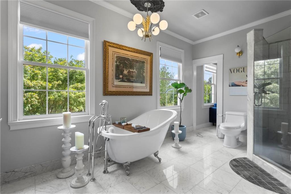 285 Old Hornage Road Ball Ground, GA 30107 - Photo 44 of 76