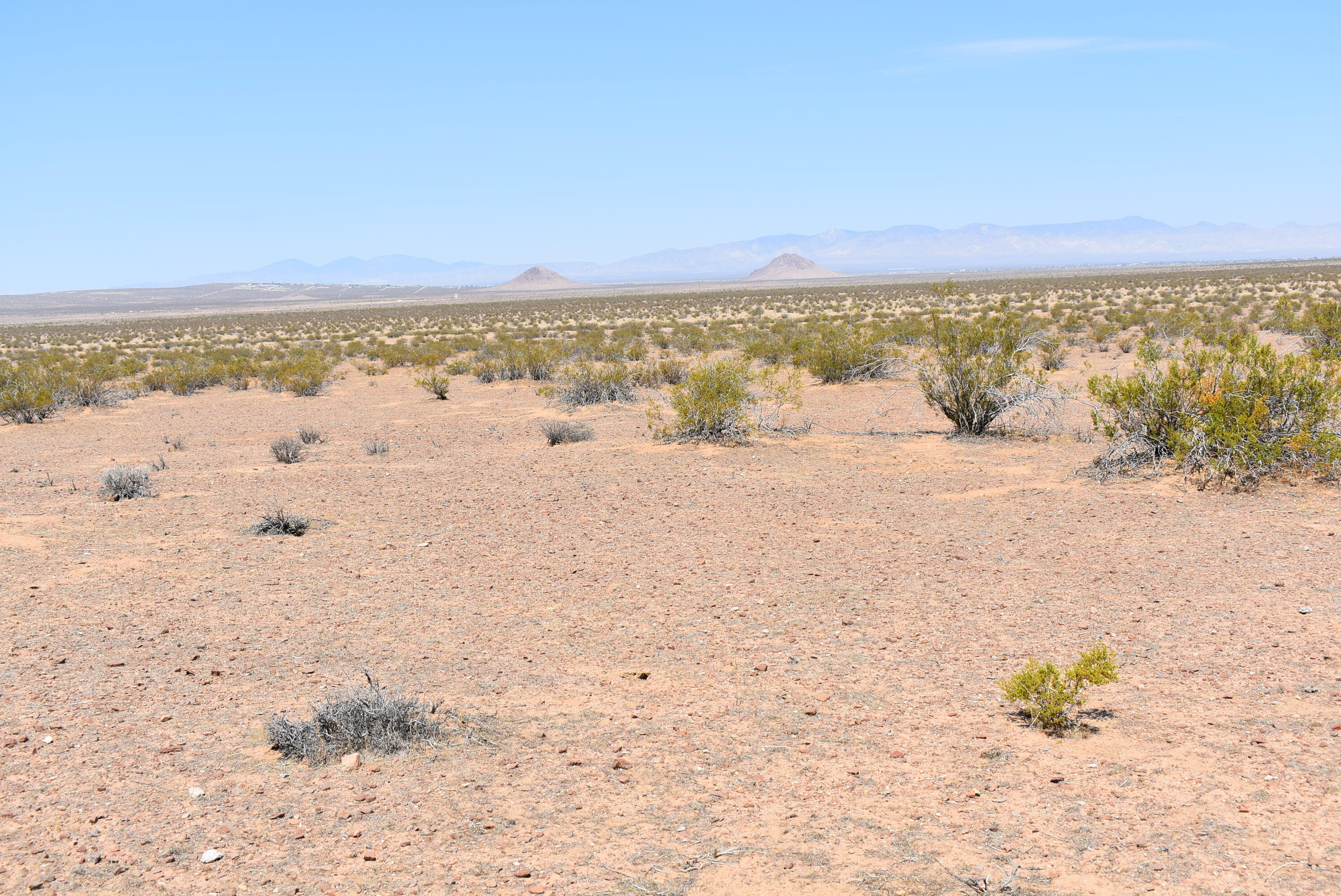 160th Street East Edwards, CA 93523 - Photo 3 of 20 DSC_0446