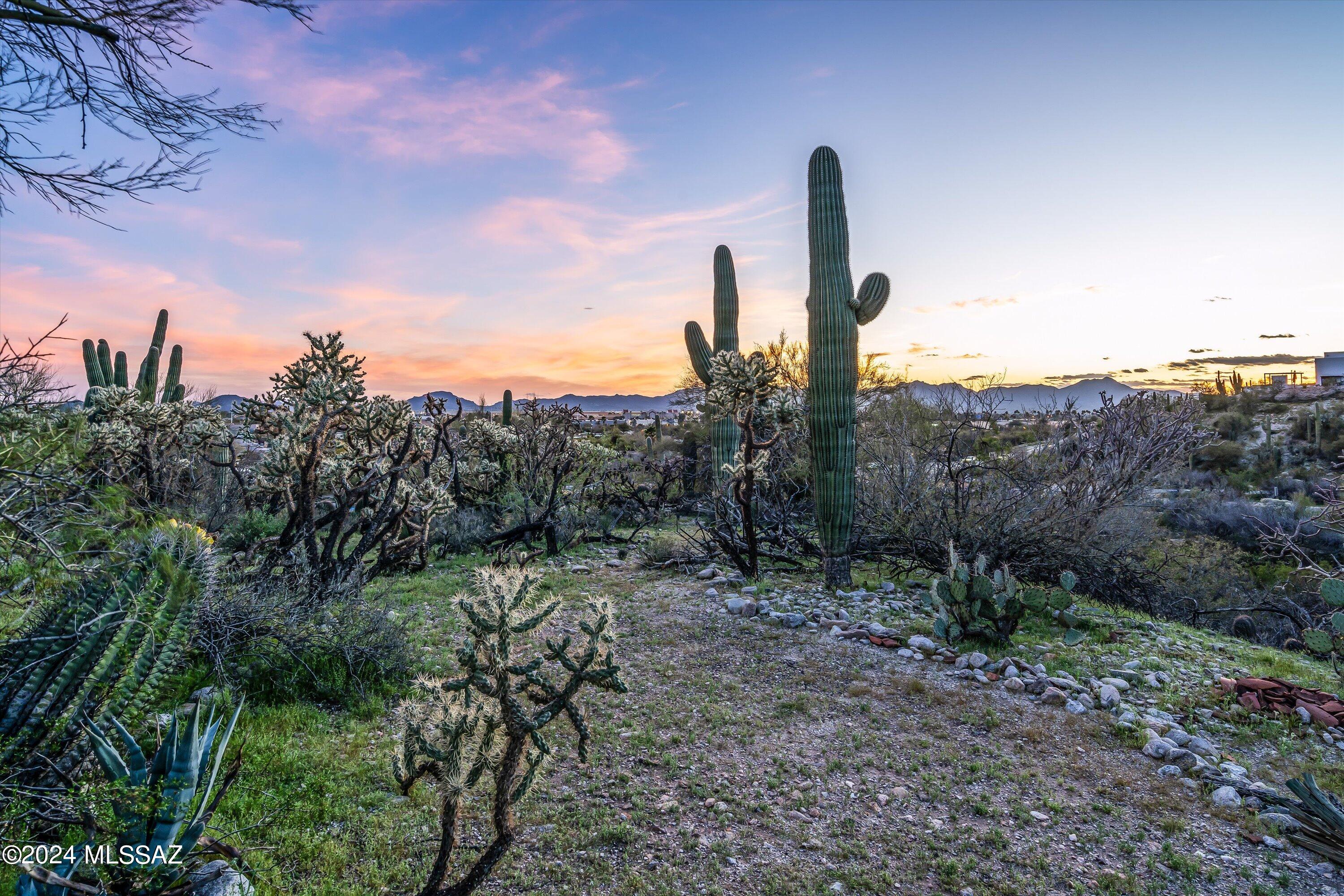 405 East River Road Tucson, AZ 85704 - Photo 37 of 48