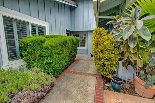 a view of a backyard with plants