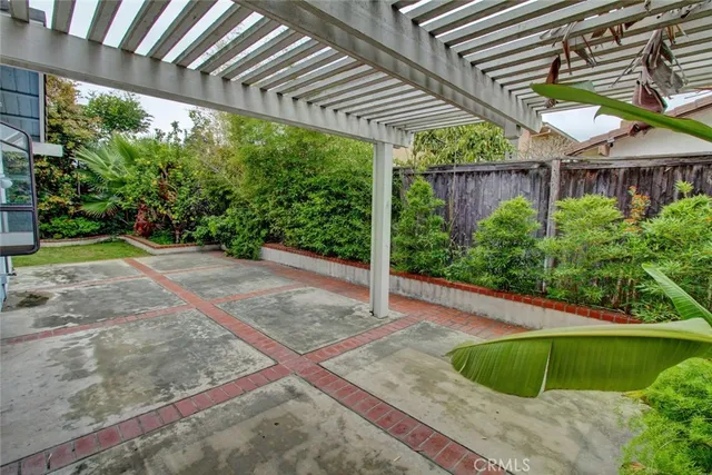 a view of a garden with plants