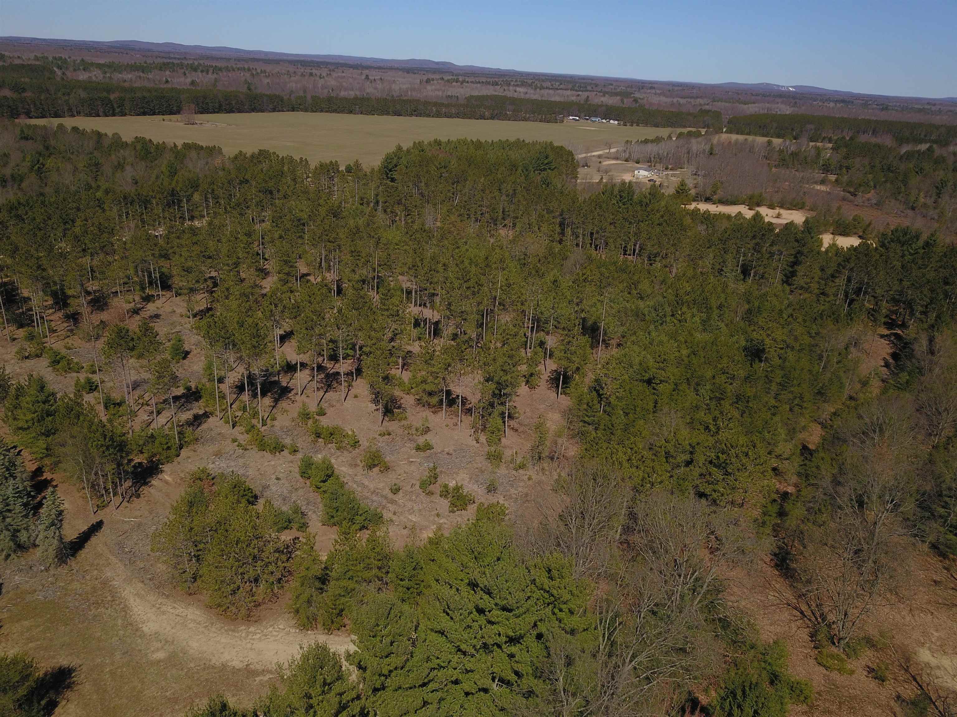 9.69-acres Niemi Road Kaleva, MI 49645 - Photo 20 of 30