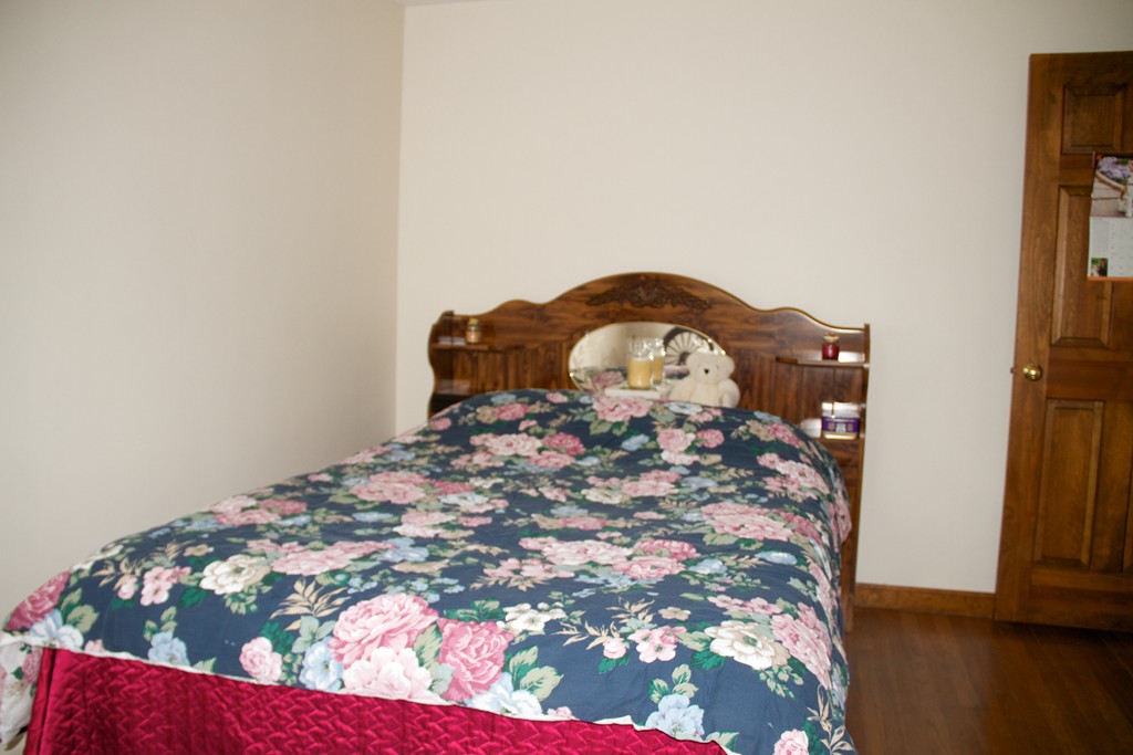 294 Reed Street Hanson, MA 02341 - Photo 7 of 8 Gallery Image 7