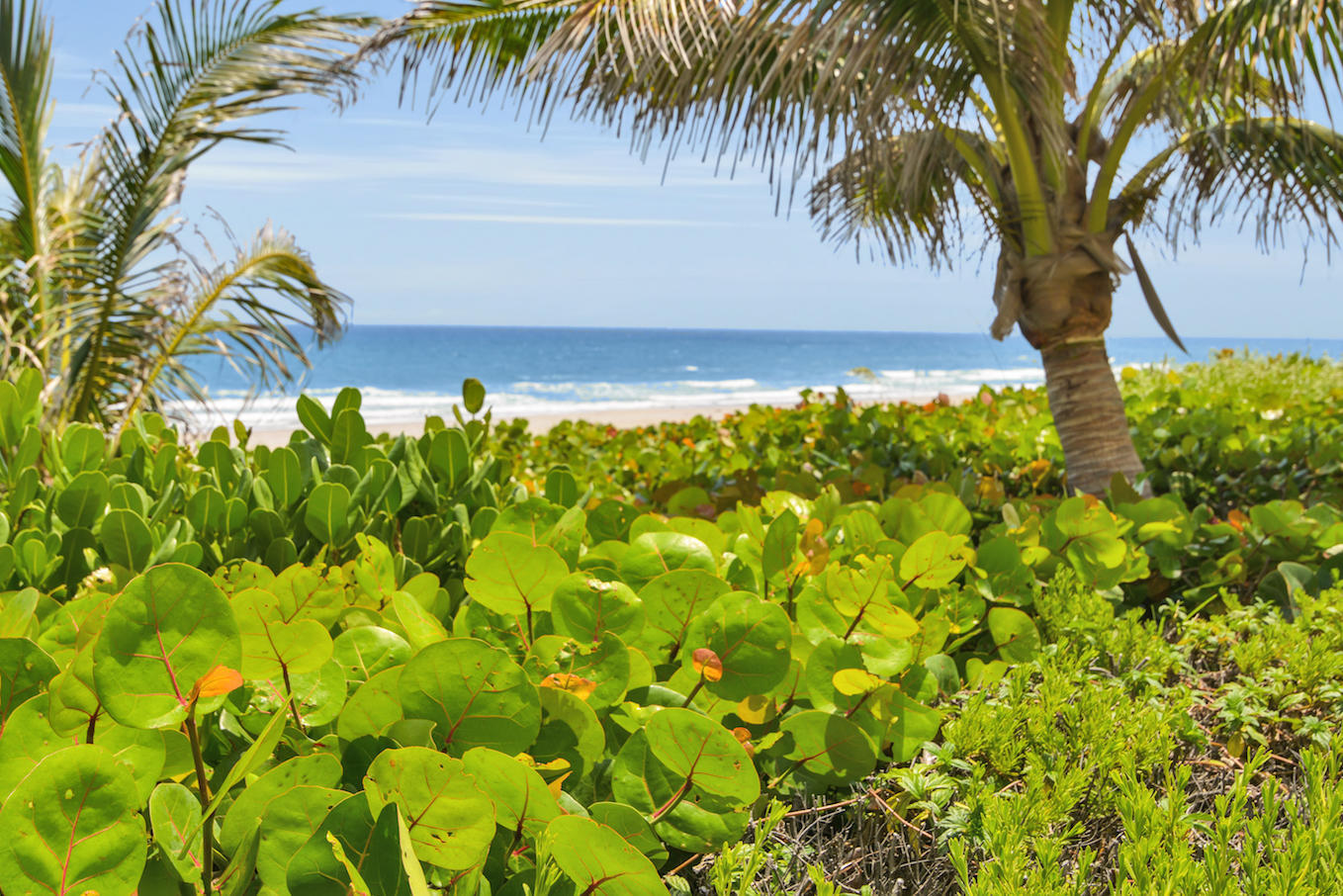 500 South Ocean Boulevard, Unit 309 Boca Raton, FL 33432 - Photo 41 of 61 Beach