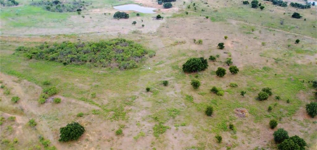 46.86-acres Stewart Ranch Road Loving, TX 76460 - Photo 16 of 17 a view of a dry yard with lots of green space