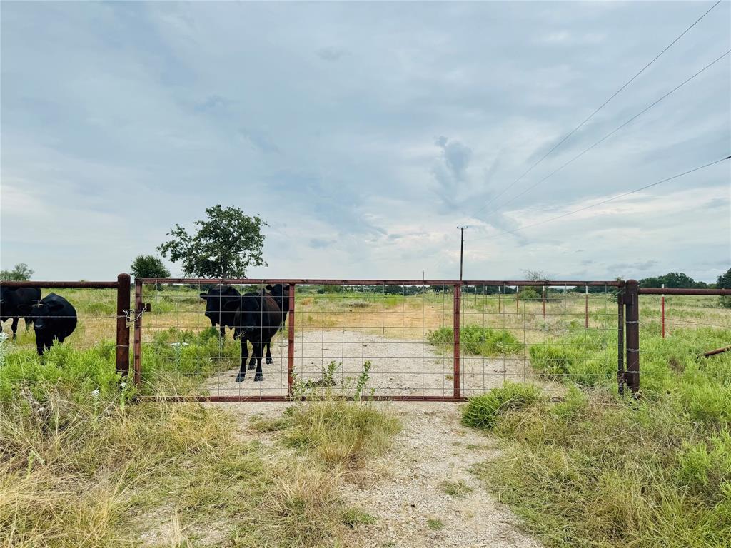 46.86-acres Stewart Ranch Road Loving, TX 76460 - Photo 3 of 16 a view of a garden
