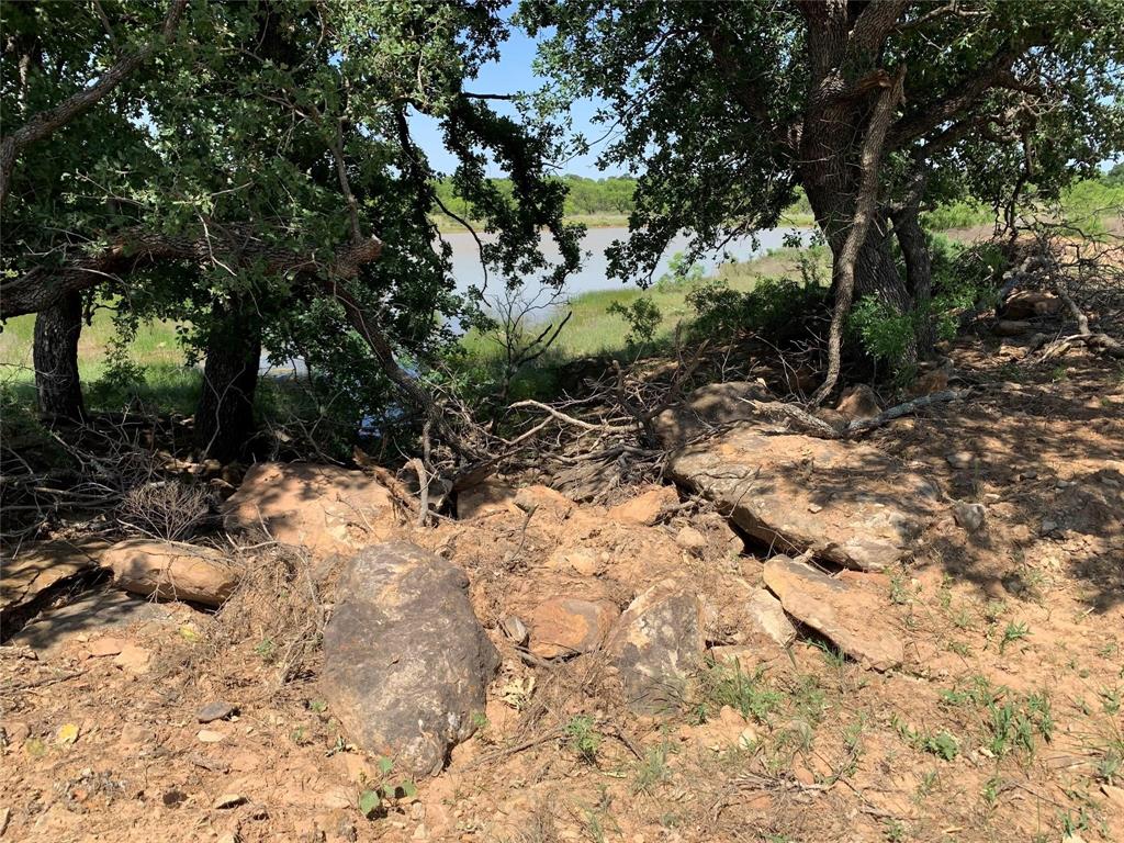 46.86-acres Stewart Ranch Road Loving, TX 76460 - Photo 6 of 16 a view of a forest with trees