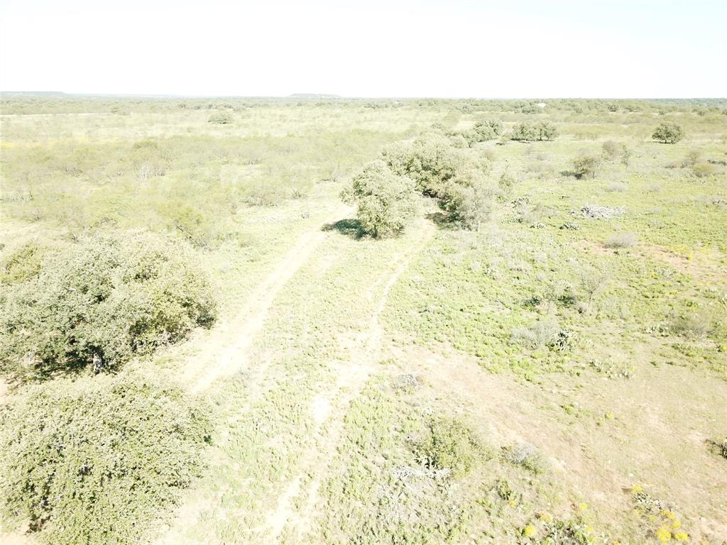 46.86-acres Stewart Ranch Road Loving, TX 76460 - Photo 8 of 16 a view of ocean