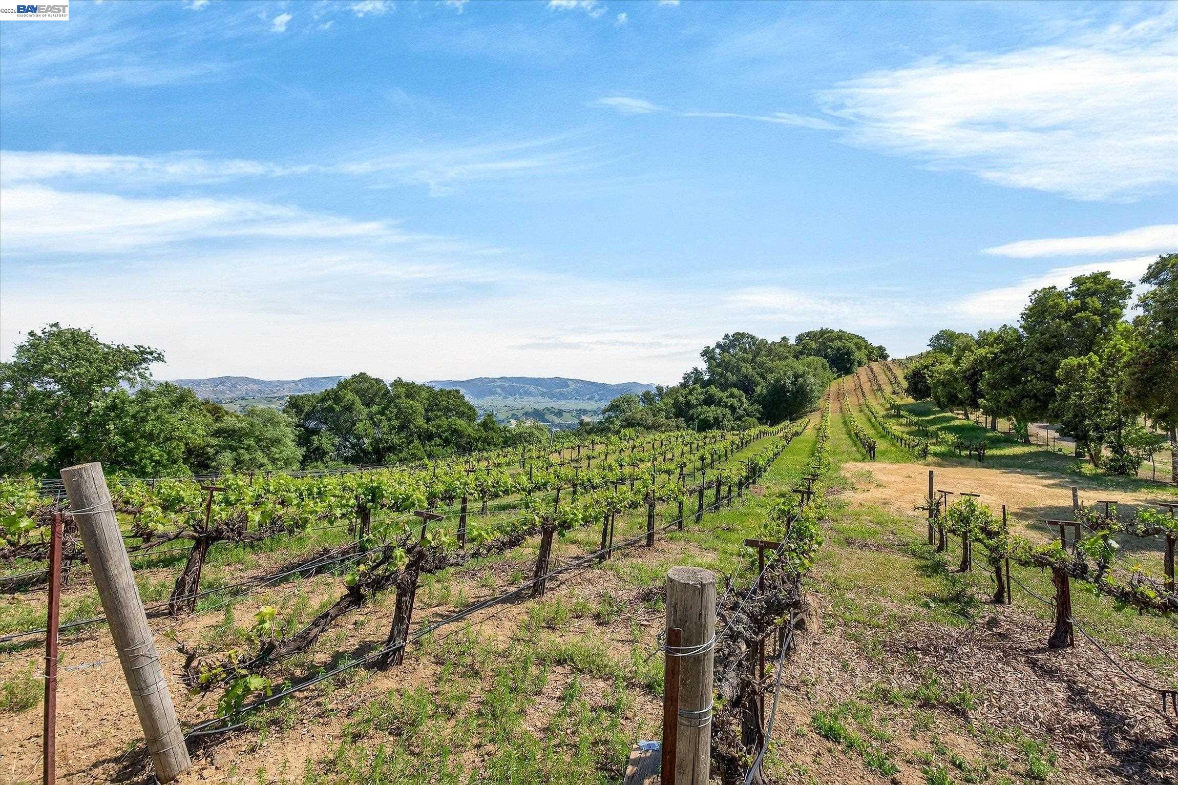 9500 Santos Ranch Road Pleasanton, CA 94588 - Photo 53 of 59