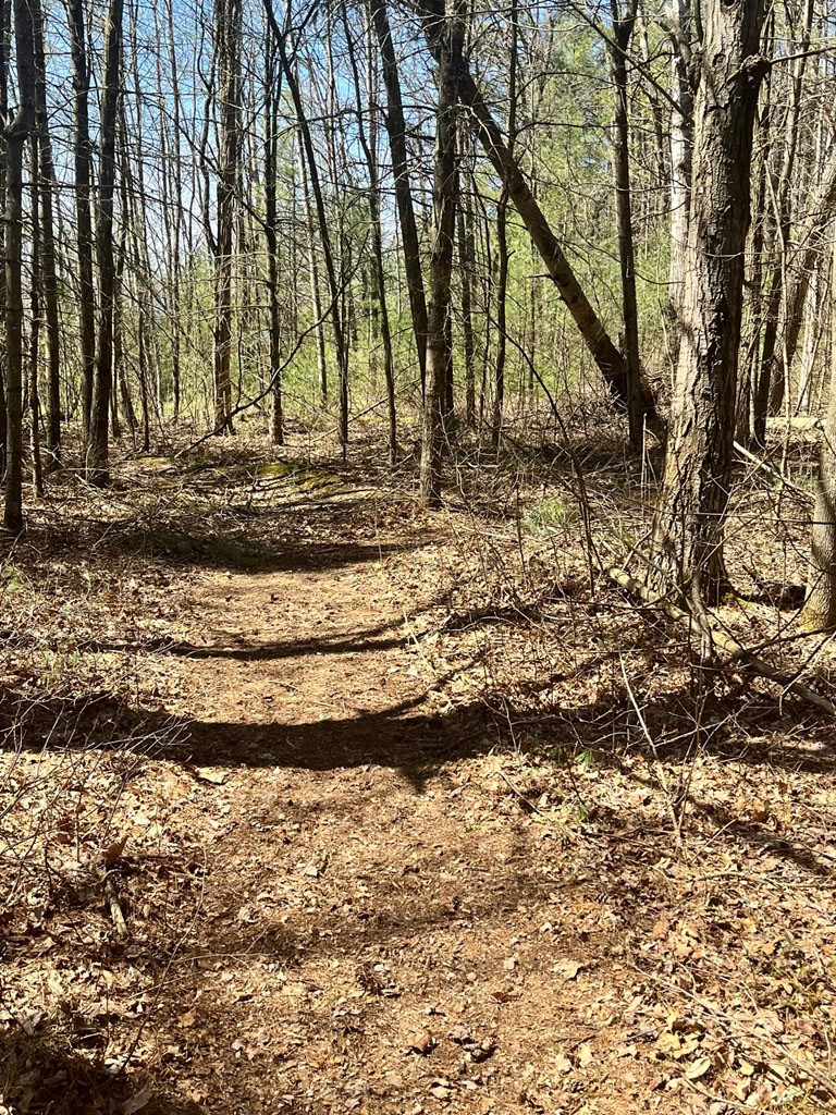 0 Lapham Mills Road Peru, NY 12972 - Photo 10 of 10