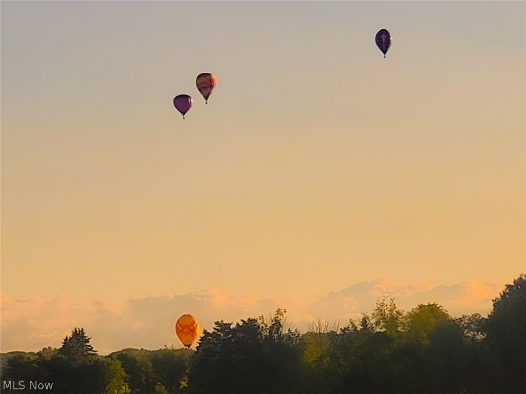 125 Pondview Circle Rittman, OH 44270 - Photo 38 of 38 Hot air balloons sighted