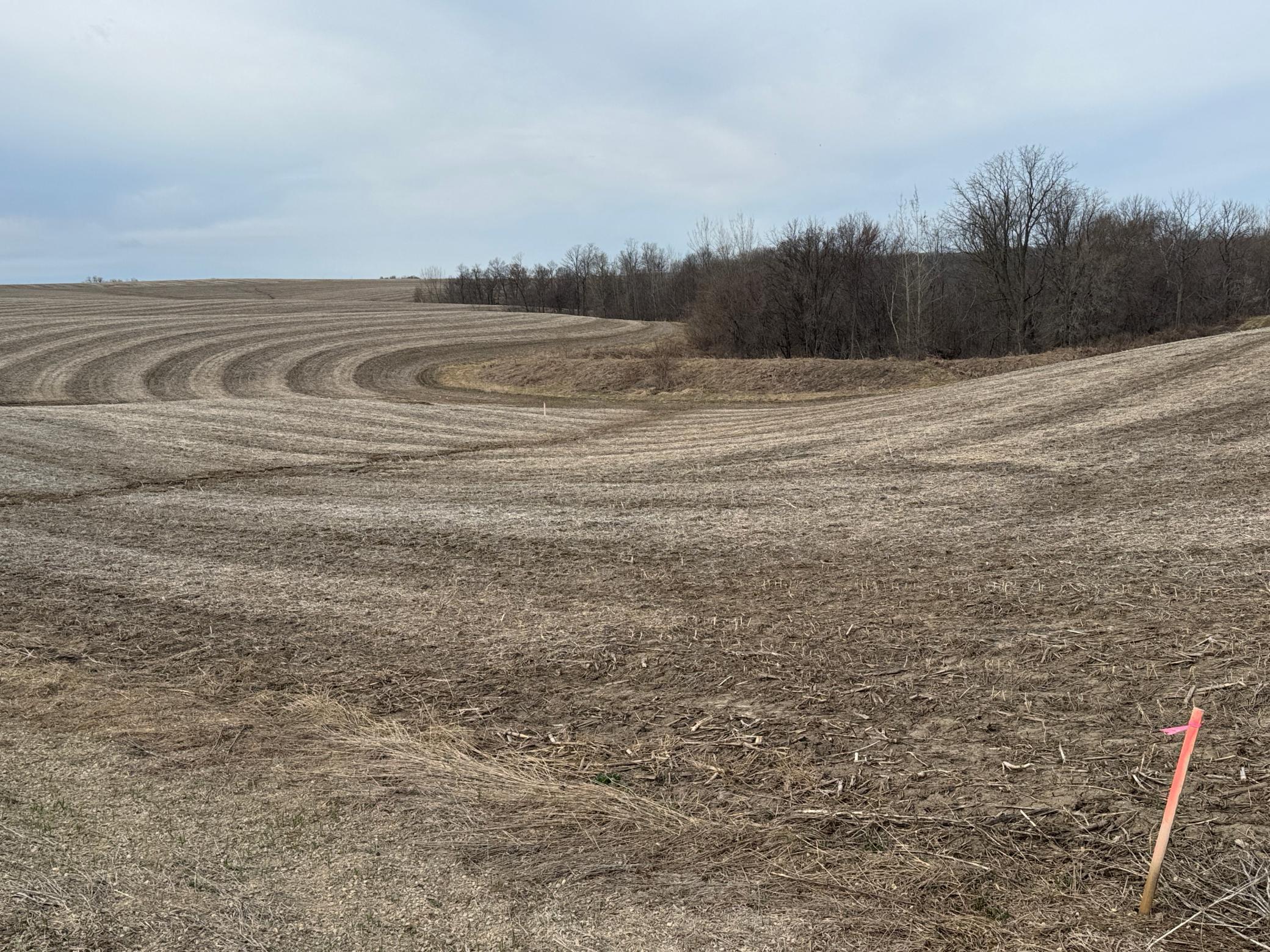 Tbd County Road East Stockholm, WI 54769 - Photo 12 of 16