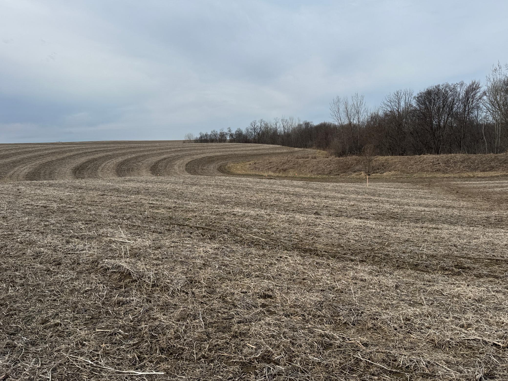 Tbd County Road East Stockholm, WI 54769 - Photo 13 of 16