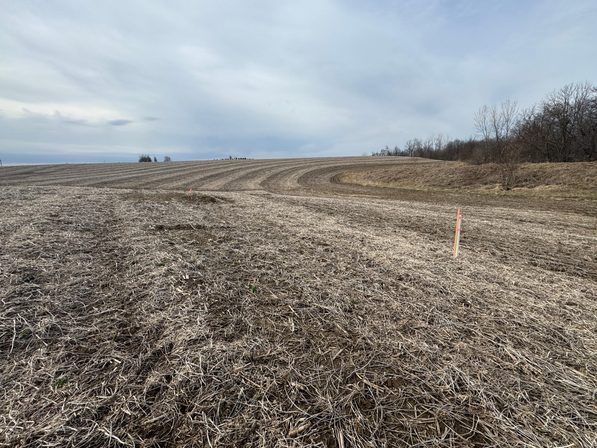 Tbd County Road East Stockholm, WI 54769 - Photo 14 of 16