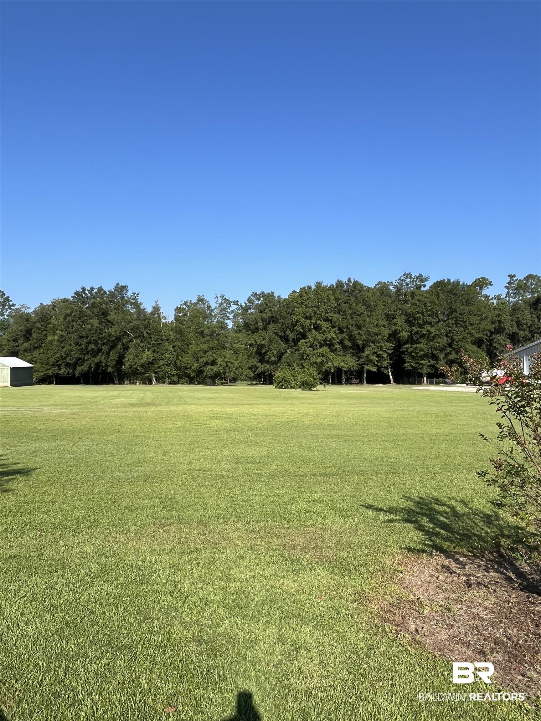 Lot 2 George Younce Road Foley, AL 36535 - Photo 2 of 6 View of yard