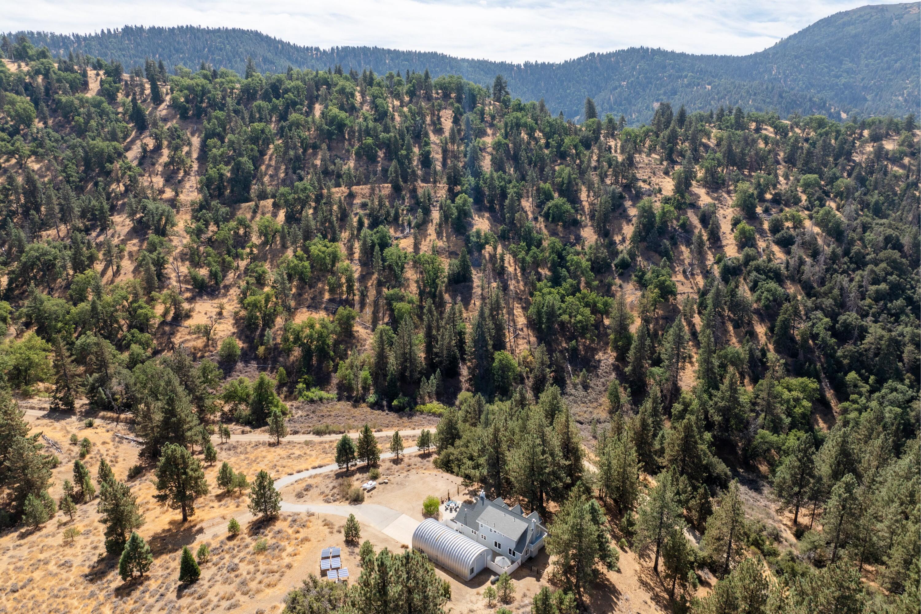 16930 Grindelwald Drive Tehachapi, CA 93561 - Photo 35 of 45 a view of a forest with a tree