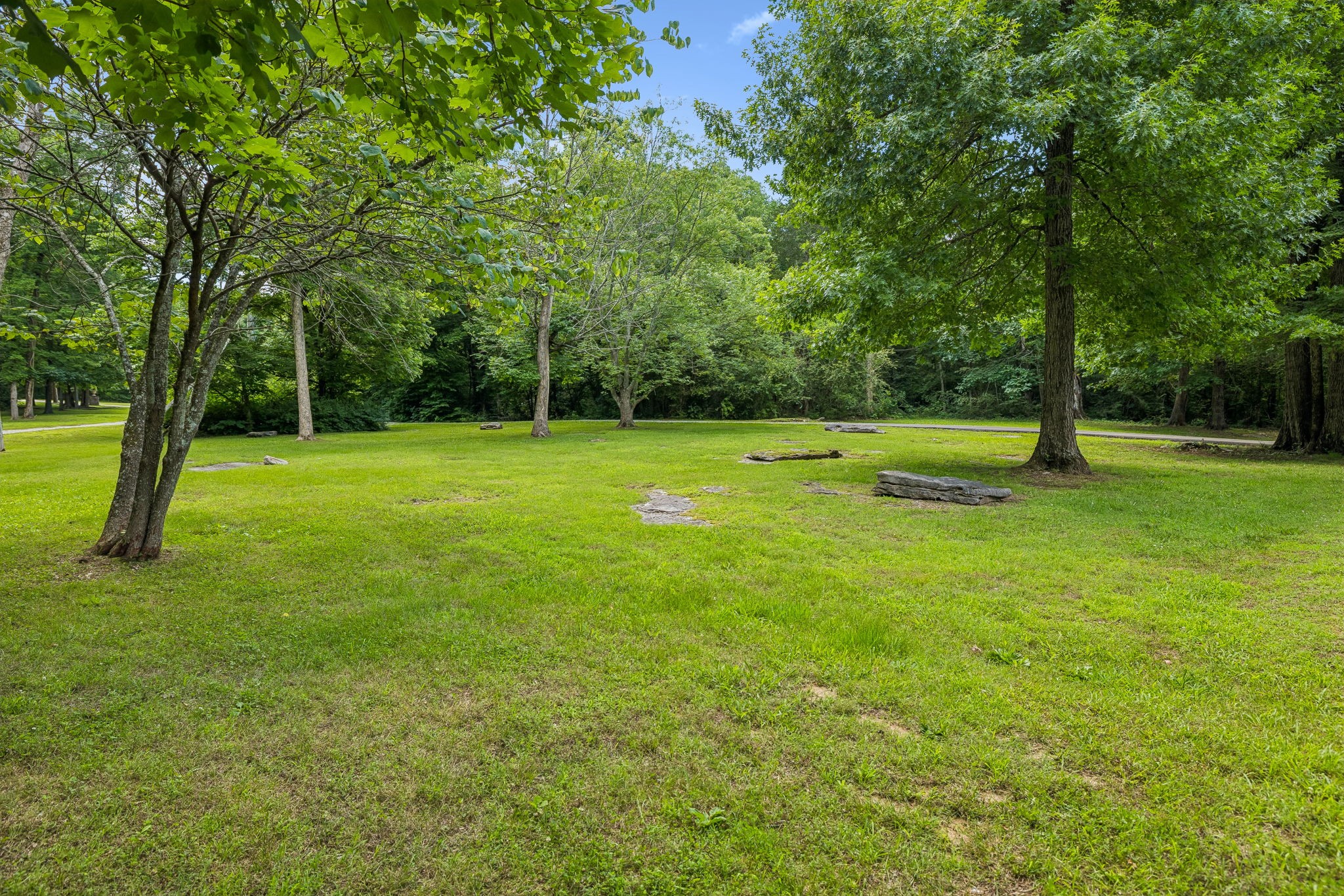 4300 Kedron Road Spring Hill, TN 37174 - Photo 68 of 85