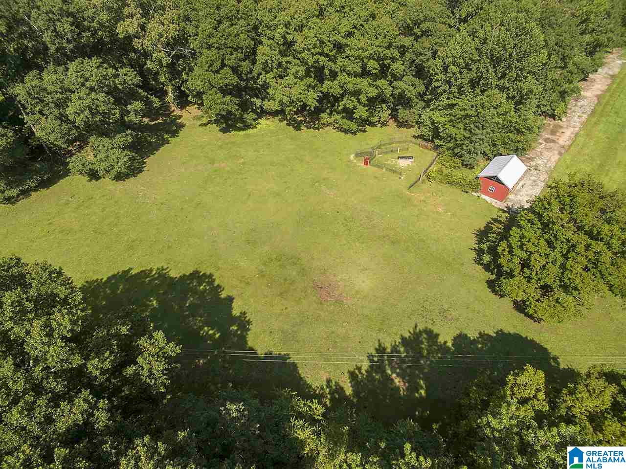 3330 Highway 174 Springville, AL 35146 - Photo 3 of 21