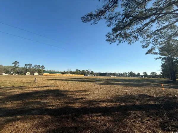 $16,500 | Tbd Janice Court, Columbia, SC 29209
