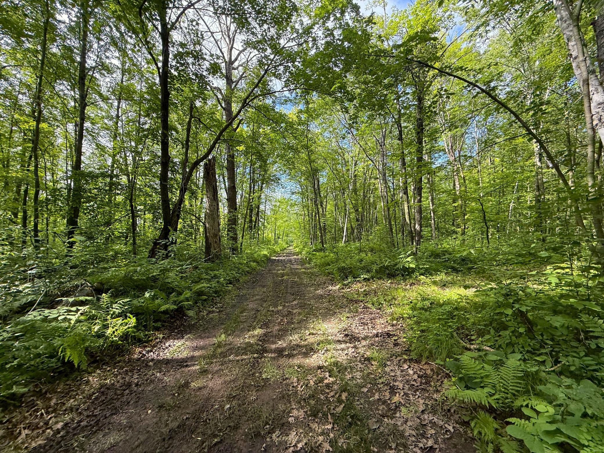 Xxx McGrew Road Isle, MN 56342 - Photo 20 of 92