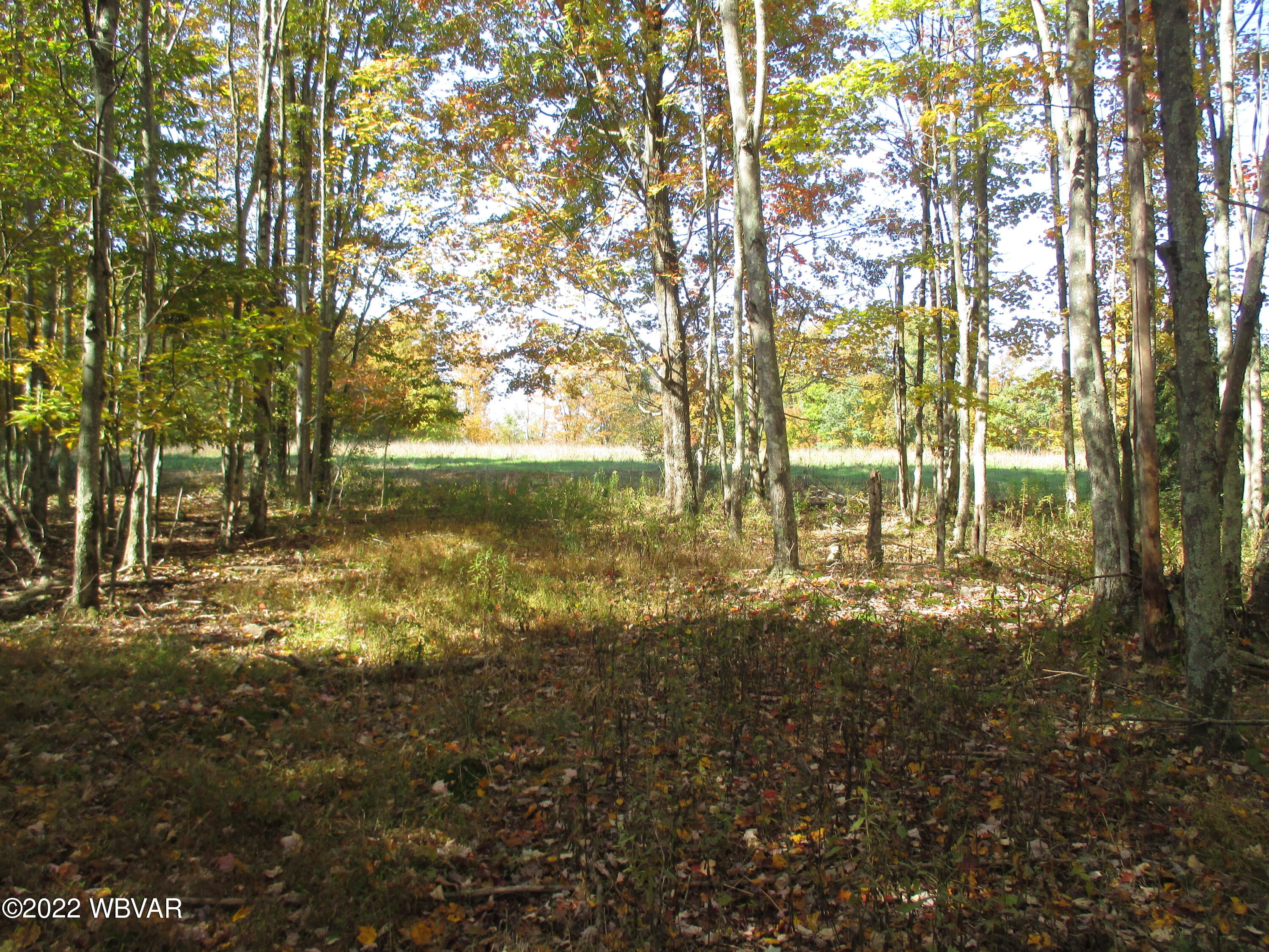 Lake Road Muncy Valley, PA 17758 - Photo 1 of 26 Gallery Image 1