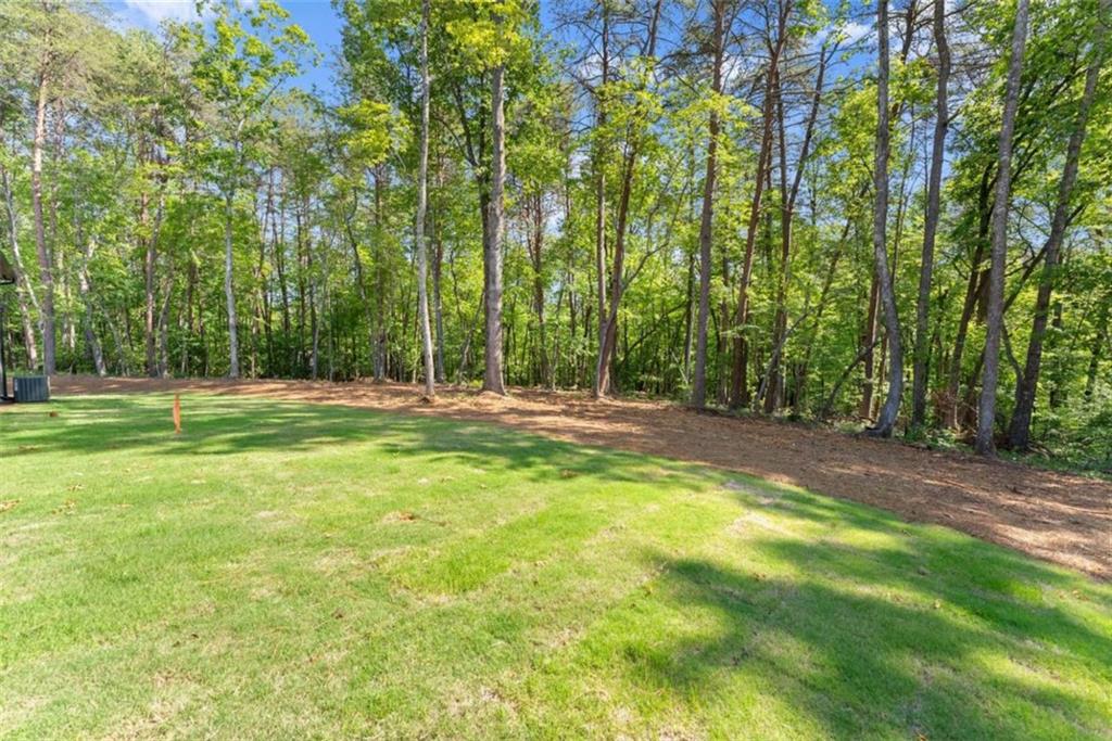 124 Fox Valley Road Clarkesville, GA 30523 - Photo 60 of 72