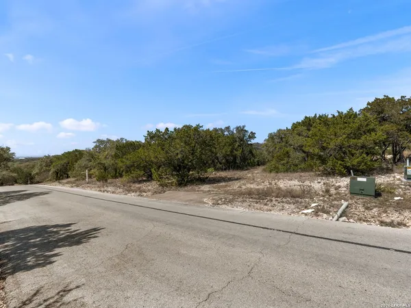 a view of a rural road with plants