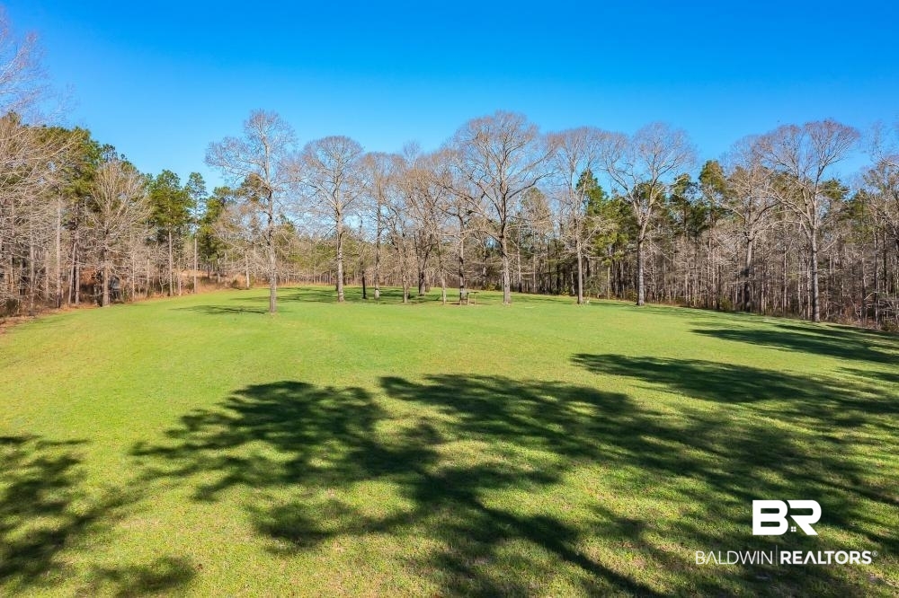 0 Private Road Millry, AL 36558 - Photo 23 of 50