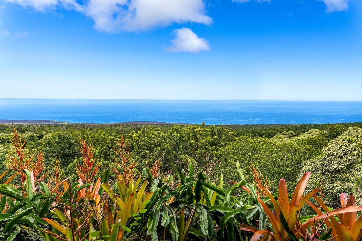 89-857 Hawaiʻi Belt Road Captain Cook, HI 96704 - Photo 4 of 30 a view of an outdoor space and hardwood