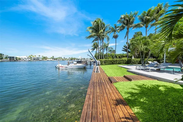 a view of a backyard with plants and a garden