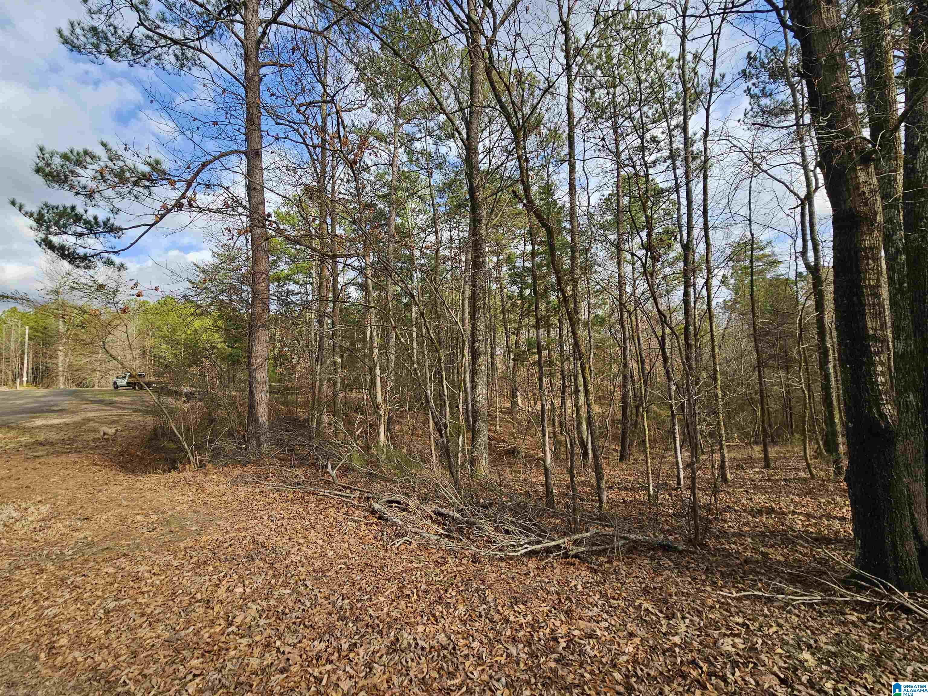 3250 Berrywood Road Pinson, AL 35126 - Photo 17 of 23