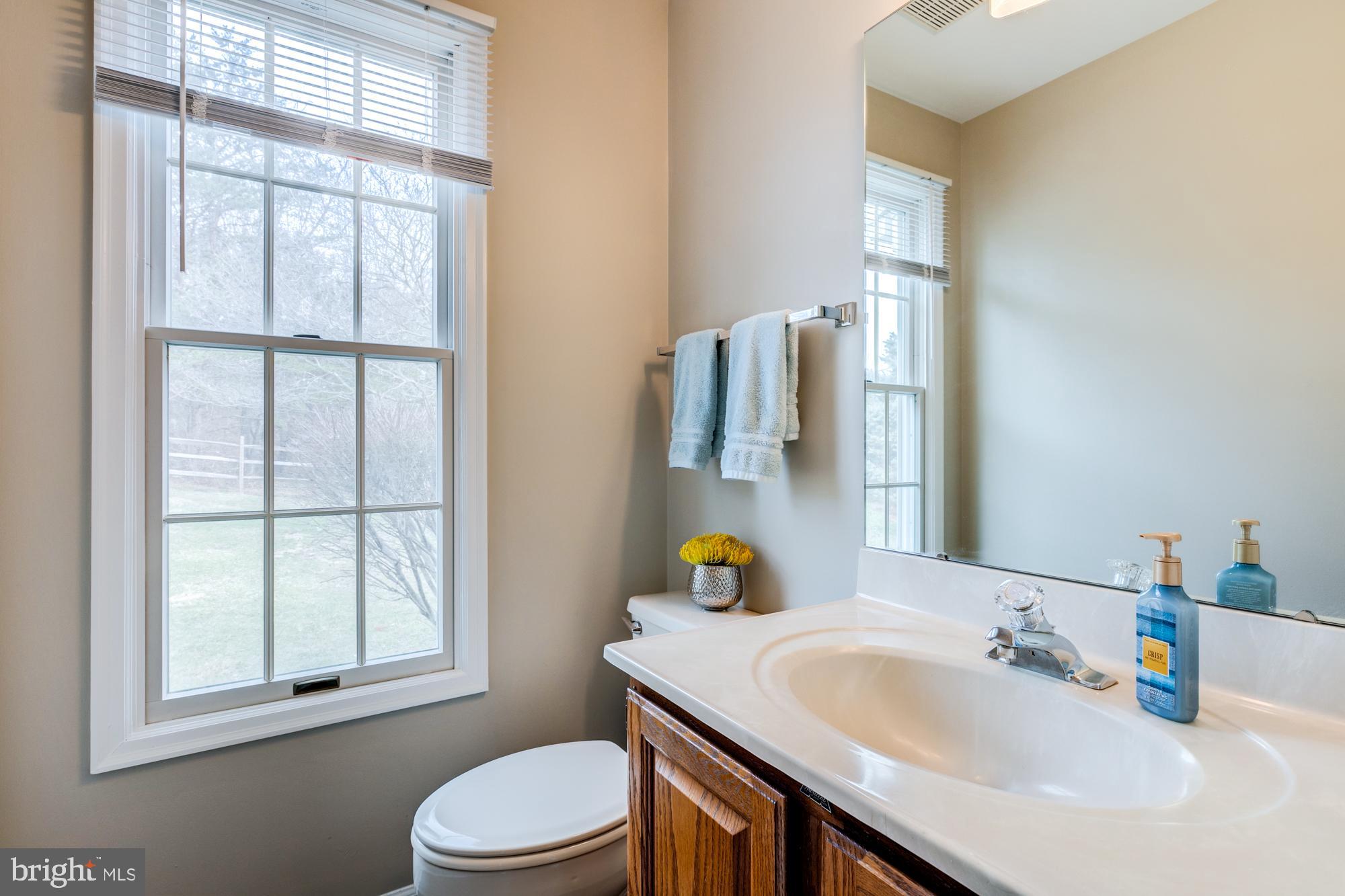 12553 Rock Ridge Road Herndon, VA 20170 - Photo 20 of 42 Powder room on main level