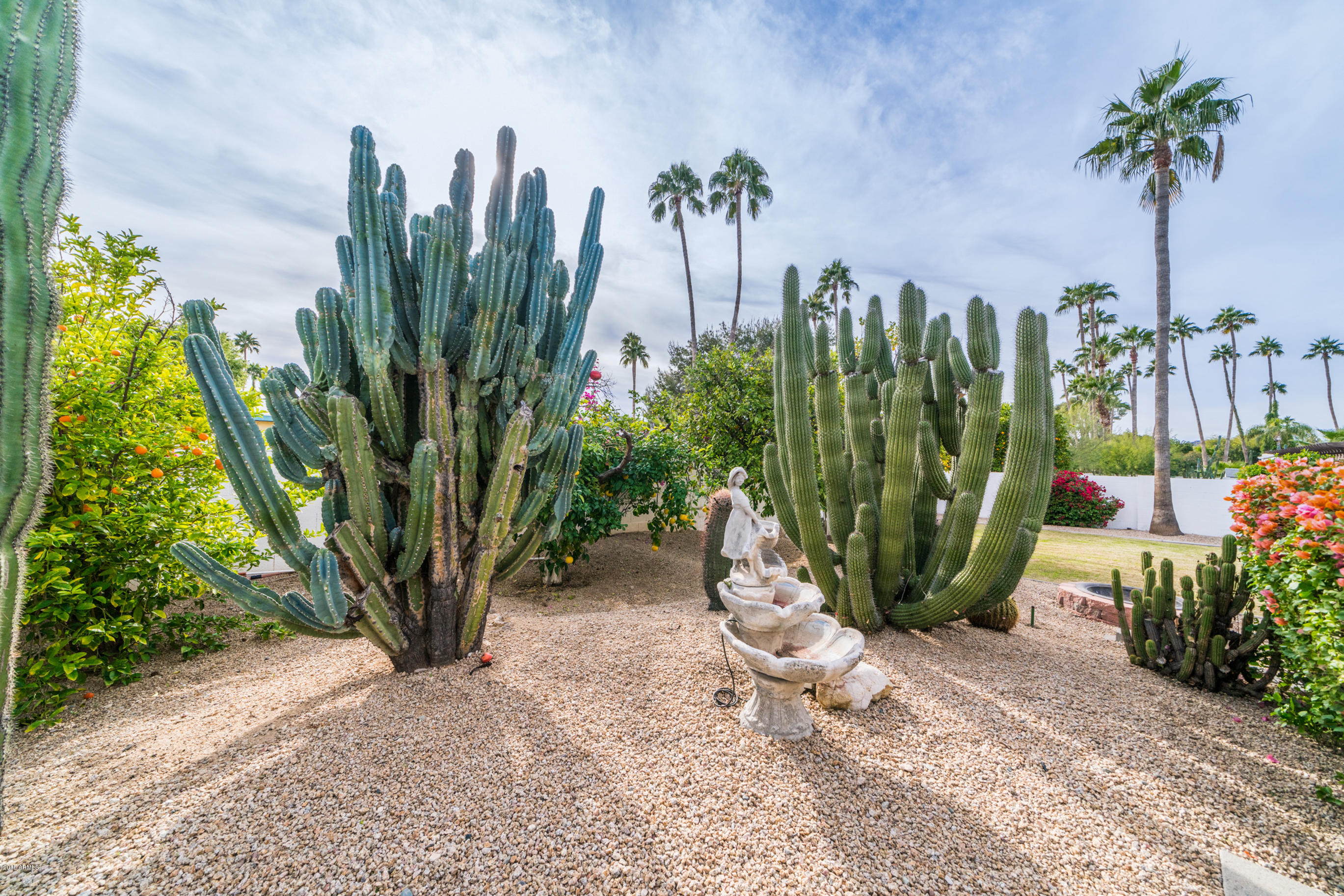 549 East Boca Raton Road Phoenix, AZ 85022 - Photo 5 of 57 DSC09008