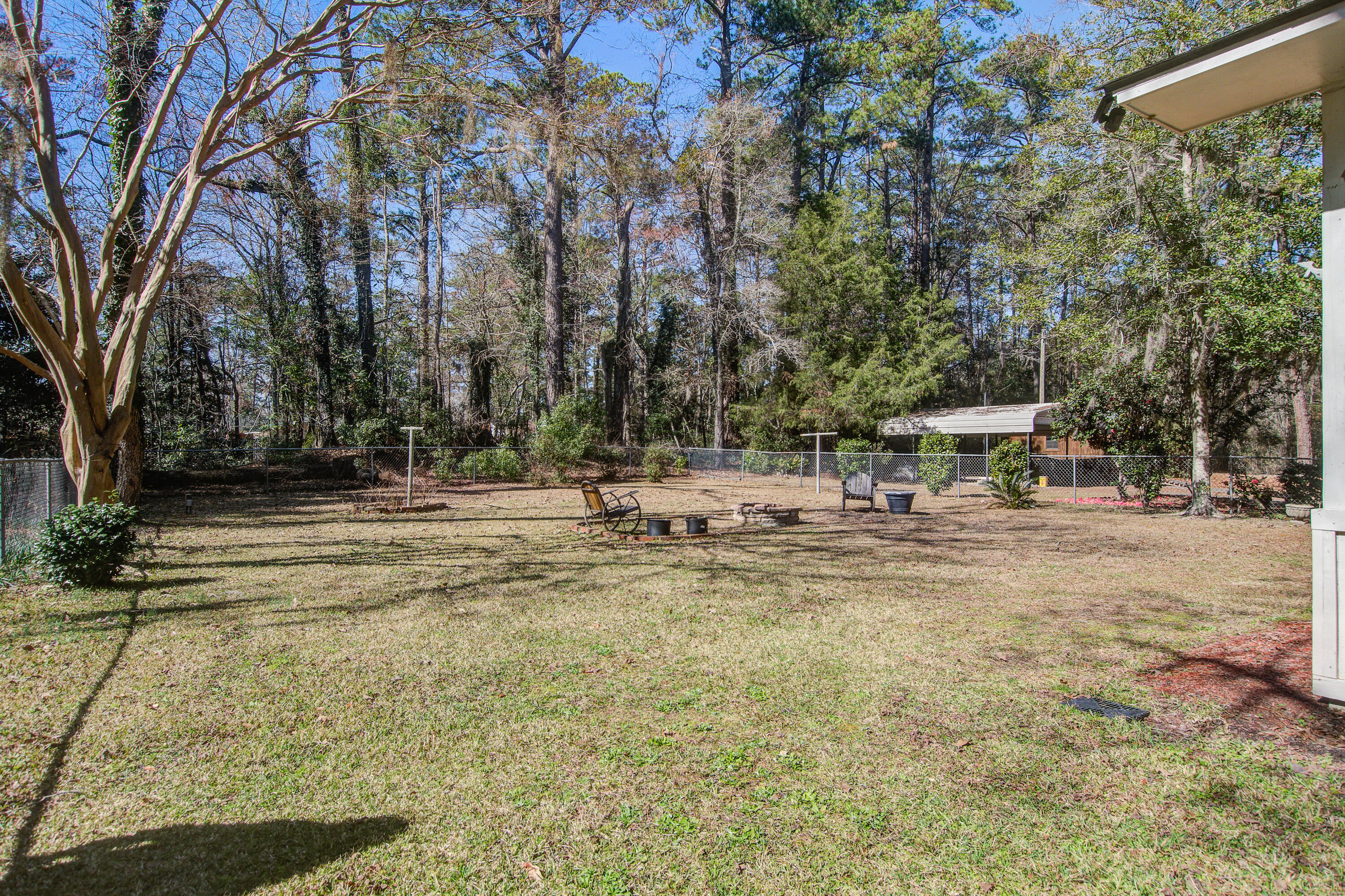 425 Ravenwood Road Walterboro, SC 29488 - Photo 29 of 49 Tree line